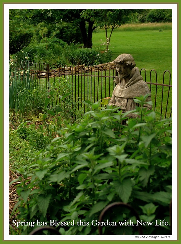 St.Francis Garden Nest