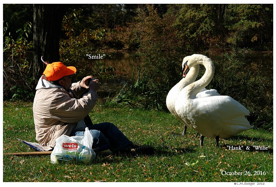Swan Trust