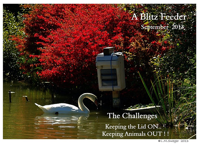Aut-O-Dine Feeder for Swans