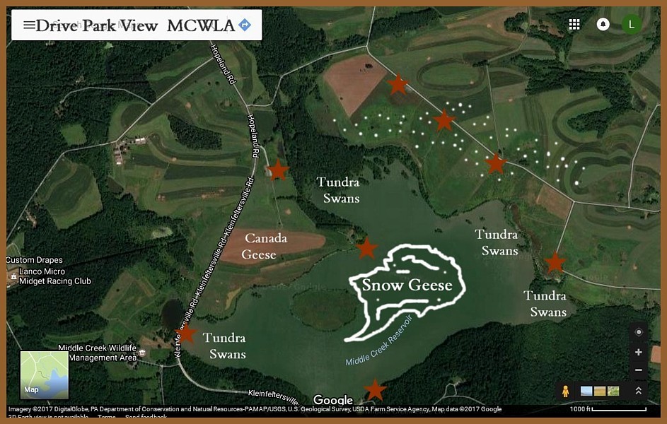Tundra Swans MCWMA MAP