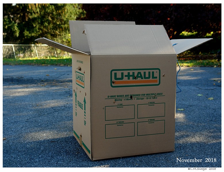 Click to Enlarge Swan Transport Box