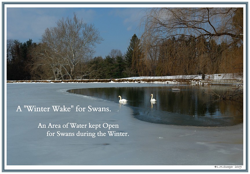 Keeping Open Water Winter Wake
