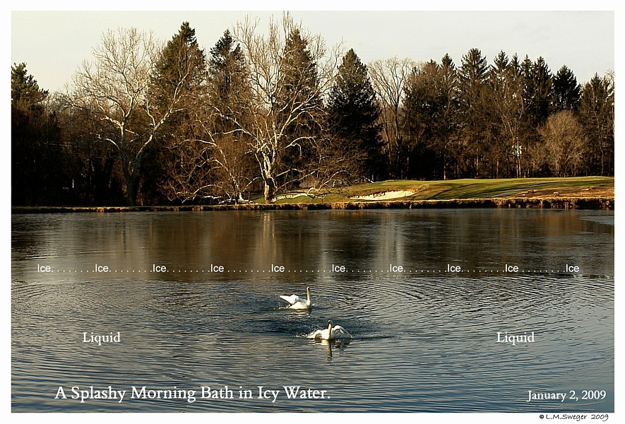 Keeping Open Water Winter Wake