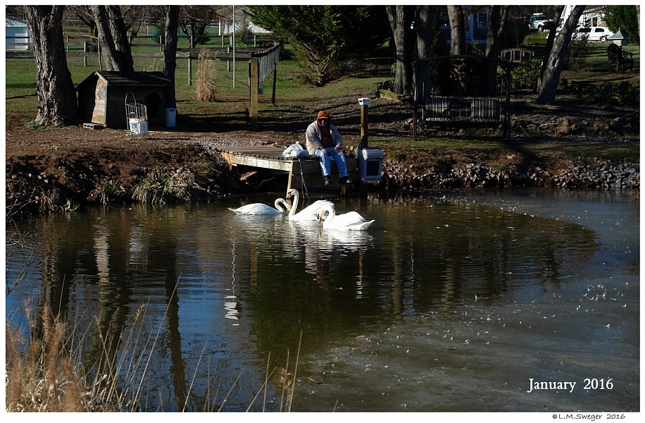 Keeping Open Water Winter Wake