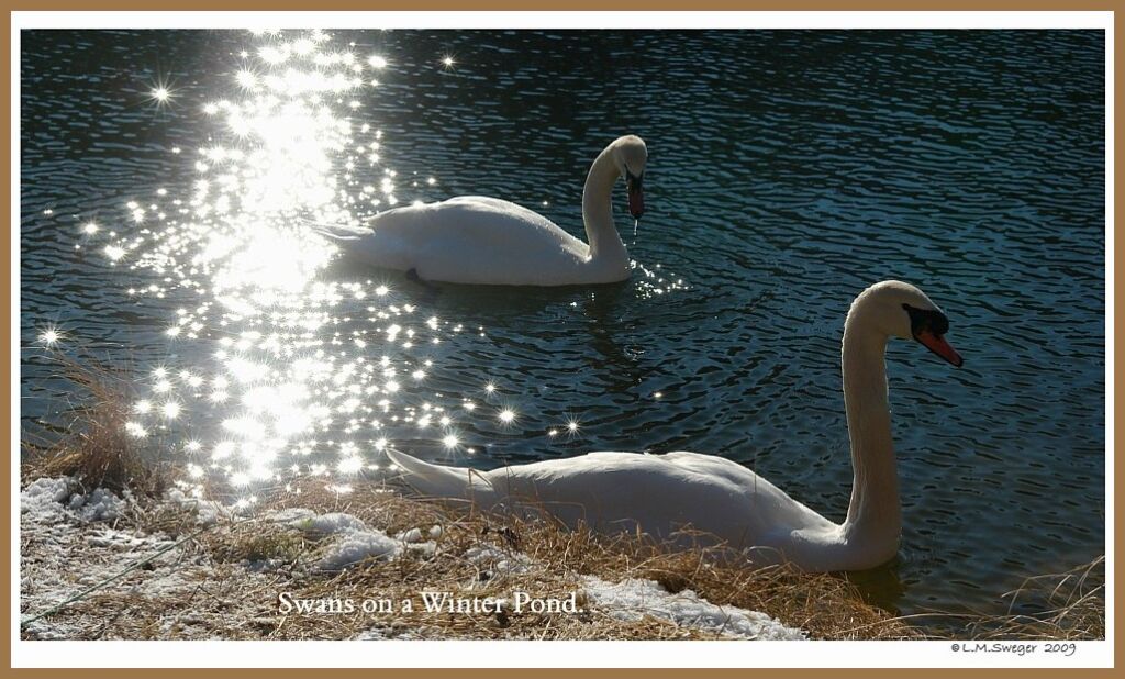 Keeping Open Water Winter Wake