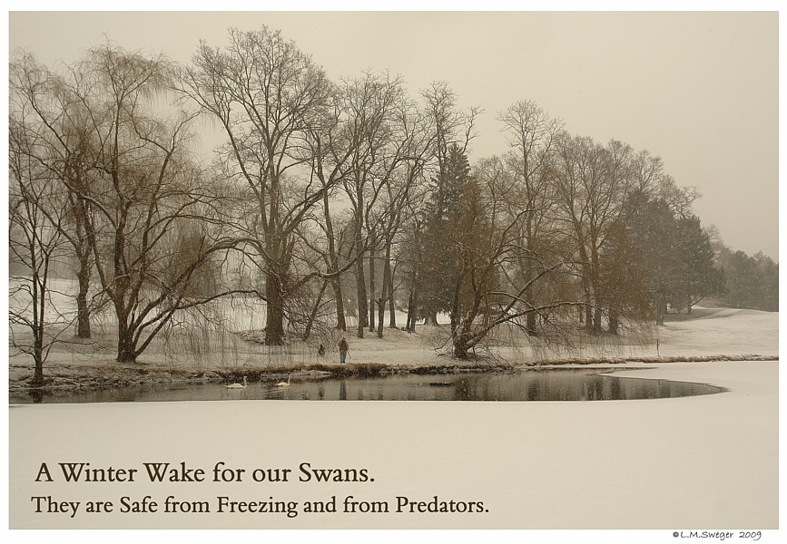 Keeping Open Water Winter Wake