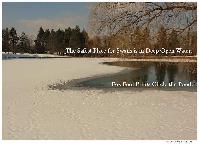 Keeping Open Water Winter Wake