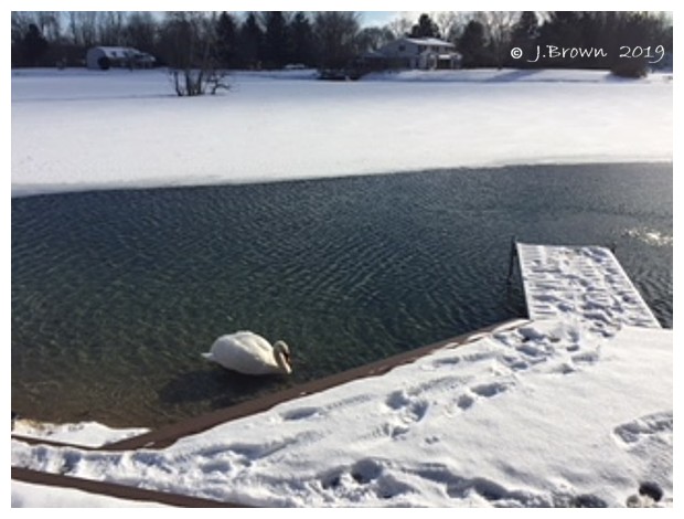 Keeping Open Water Winter Wake