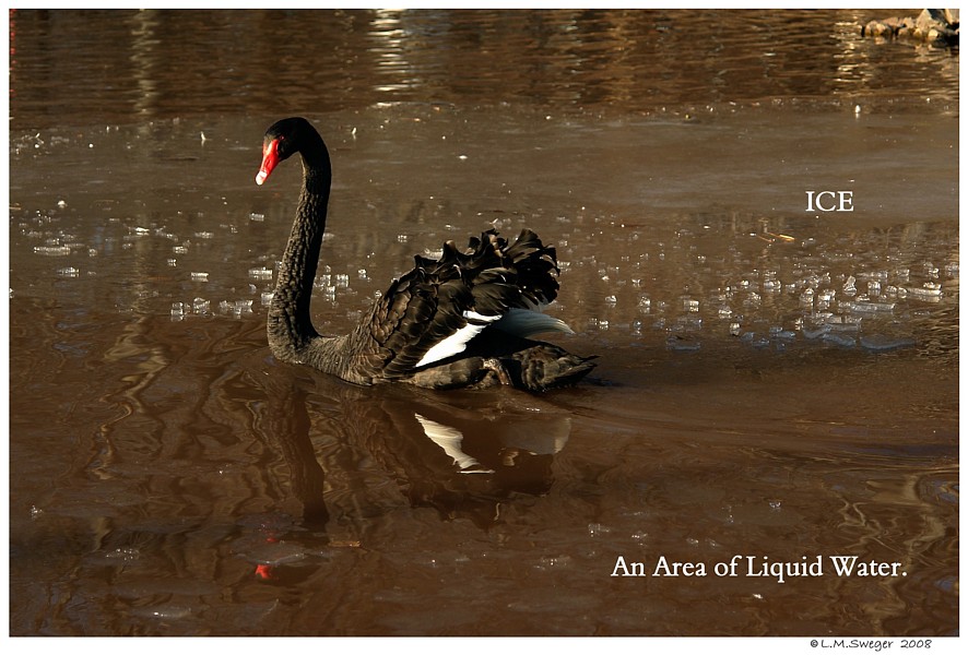 Keeping Open Water Winter Wake