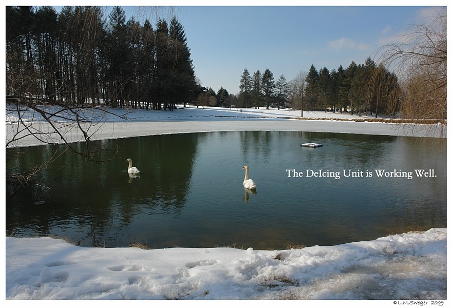 Keeping Open Water Winter Wake