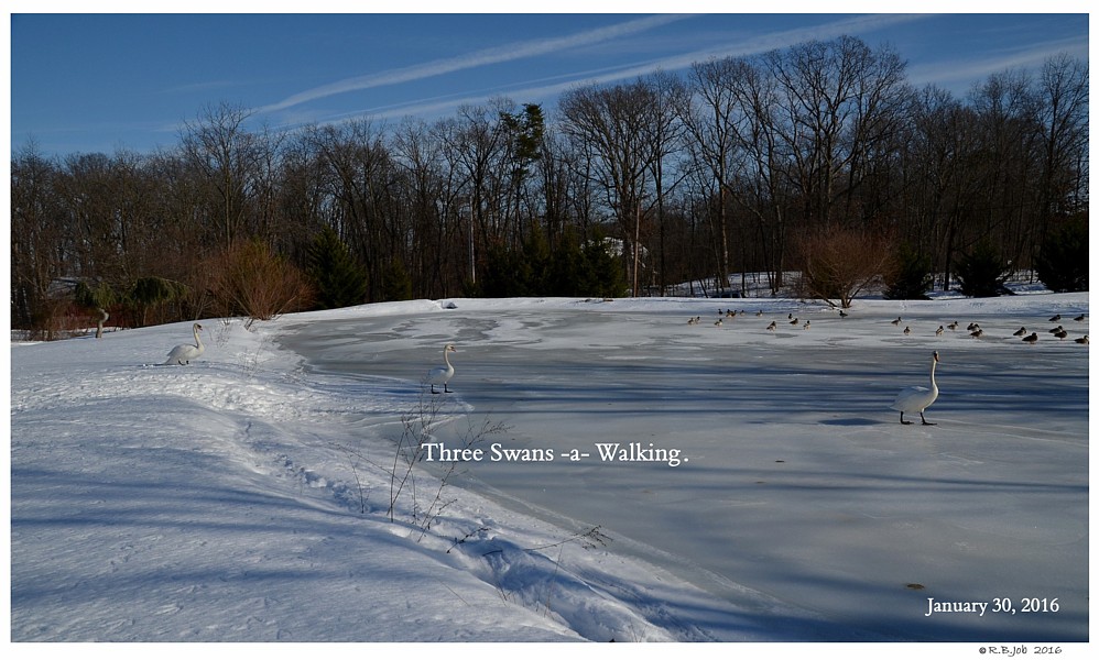 Keeping Open Water Winter Wake