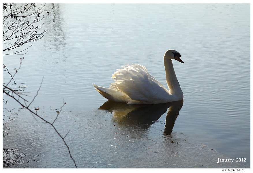 Keeping Open Water Winter Wake
