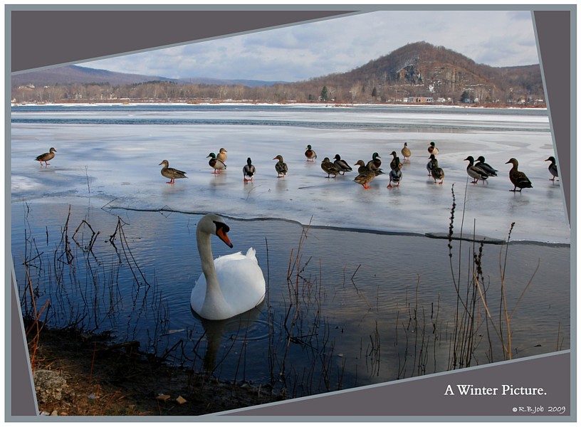 Keeping Open Water Winter Wake