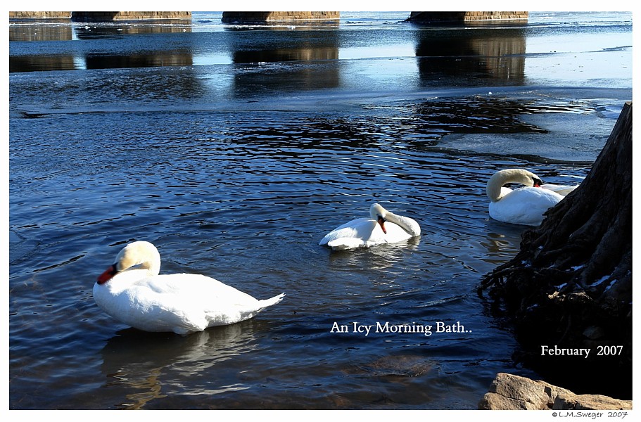 Keeping Open Water Winter Wake