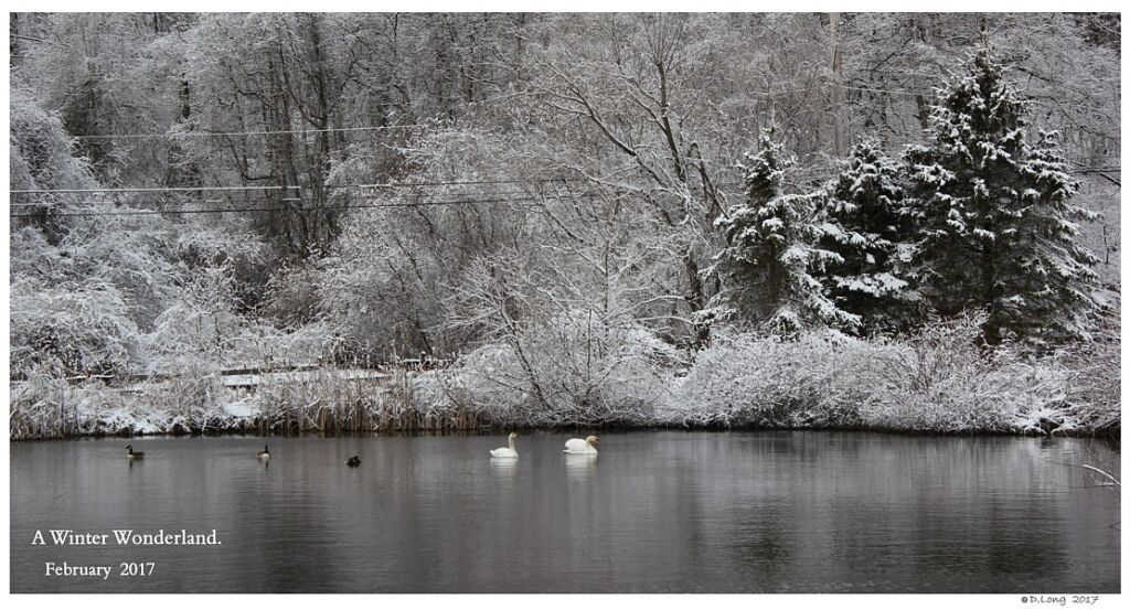 Keeping Open Water Winter Wake