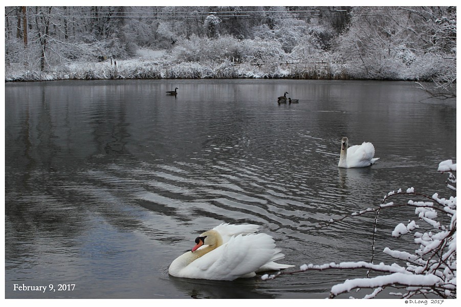 Keeping Open Water Winter Wake