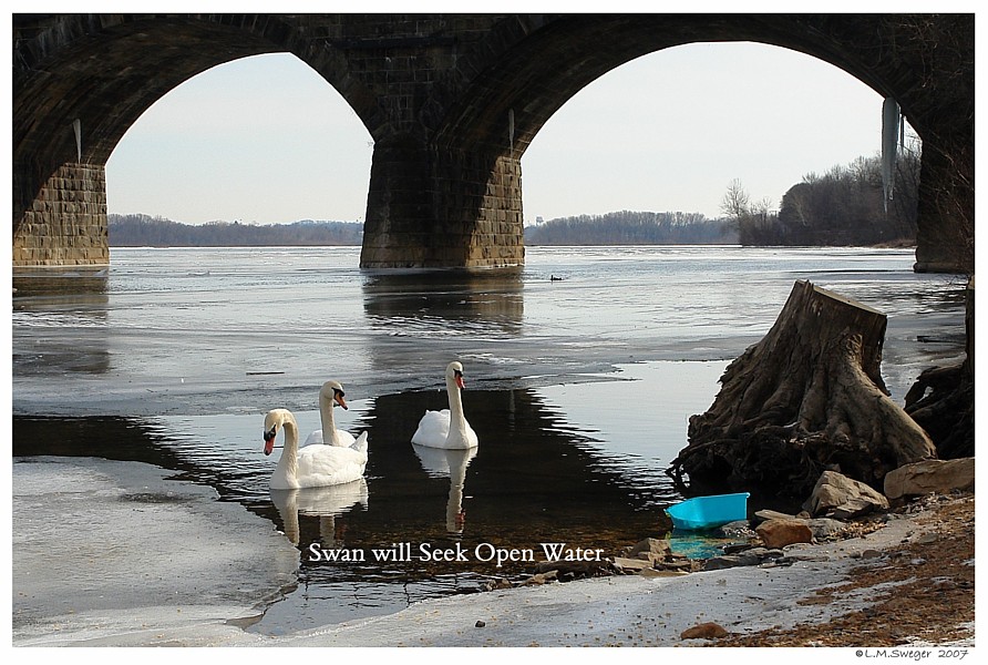 Keeping Open Water Winter Wake