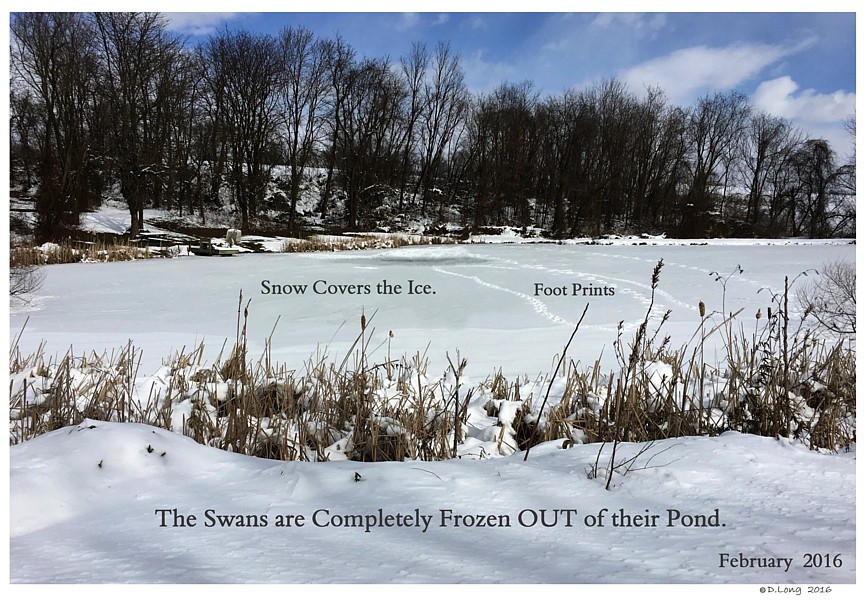 Keeping Open Water Winter Wake