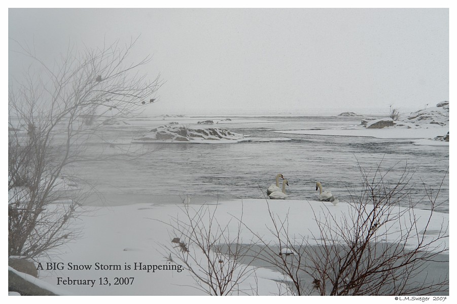 Keeping Open Water Winter Wake
