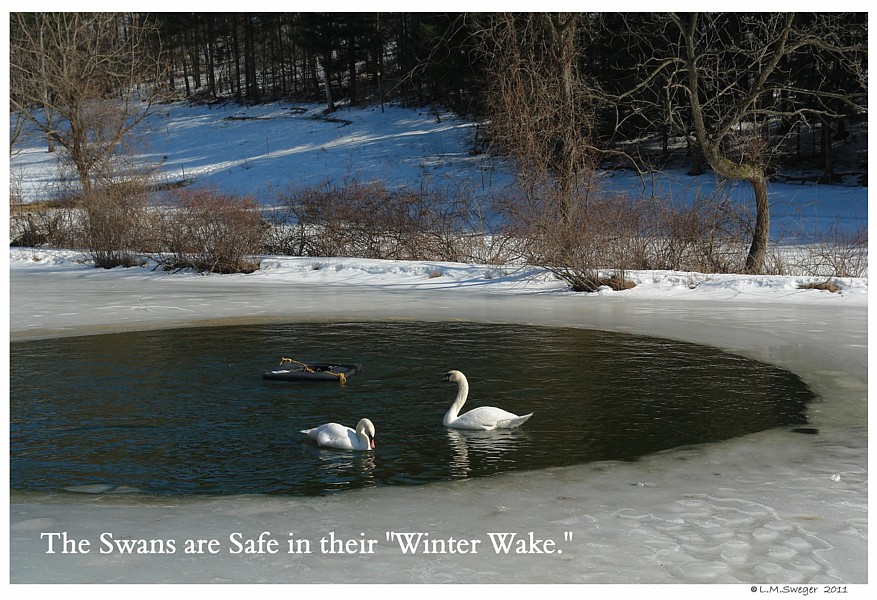 Keeping Open Water Winter Wake