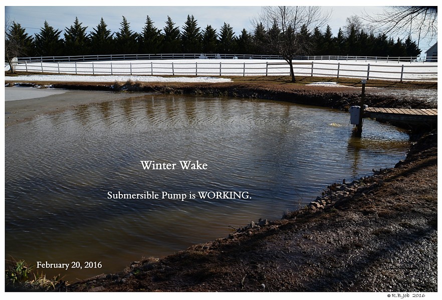 Keeping Open Water Winter Wake