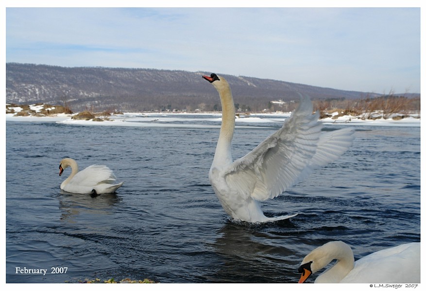 Keeping Open Water Winter Wake