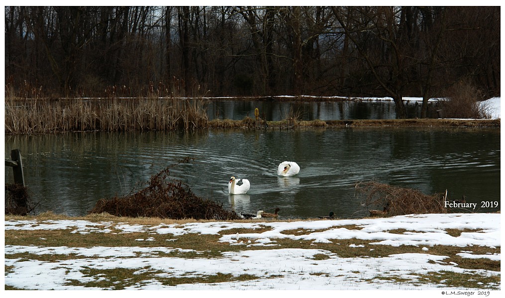 Keeping Open Water Winter Wake