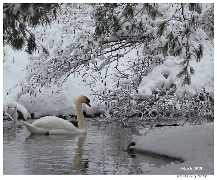 Keeping Open Water Winter Wake