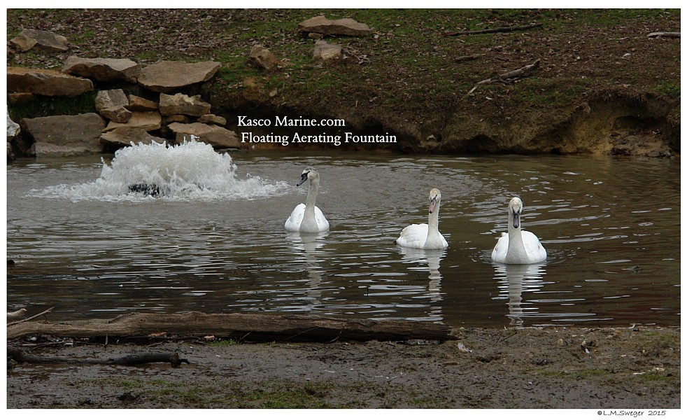 Keeping Open Water Winter Wake
