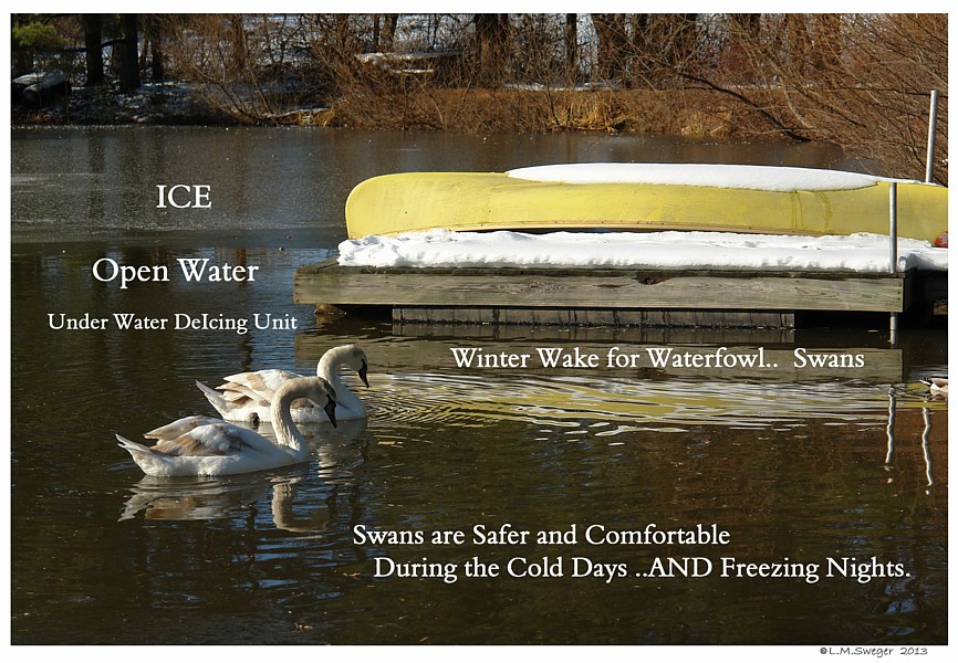 Keeping Open Water Winter Wake