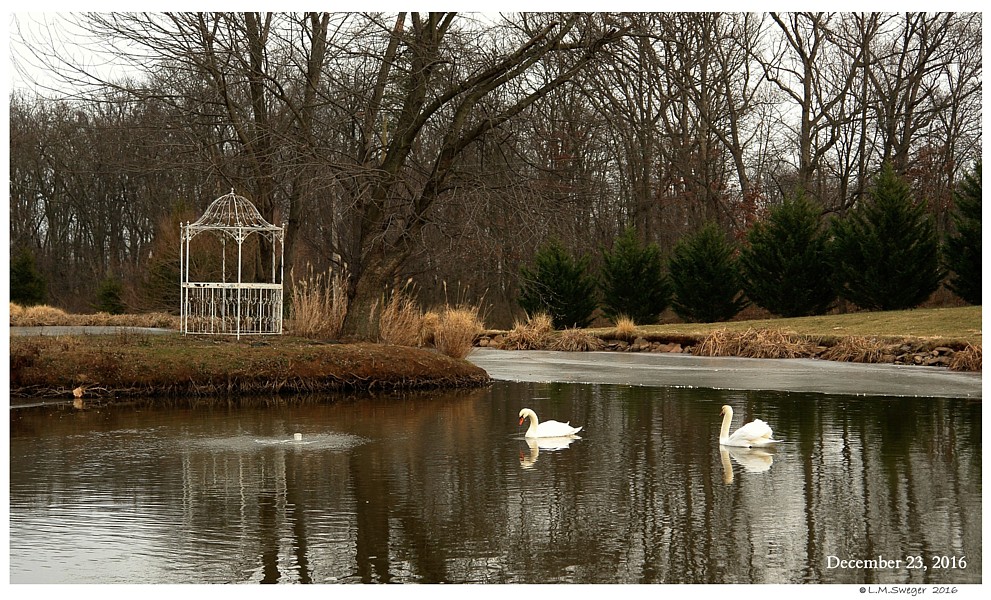 Keeping Open Water Winter Wake