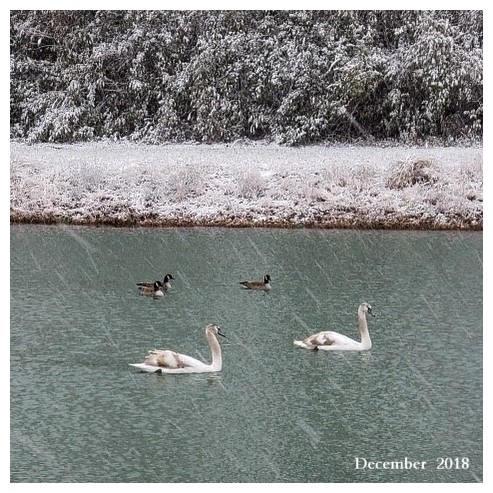 Keeping Open Water Winter Wake
