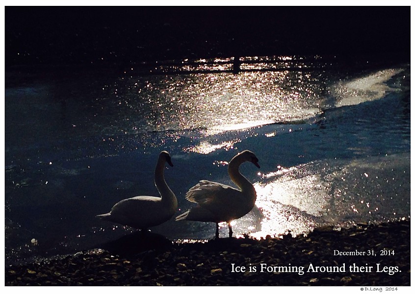 Keeping Open Water Winter Wake
