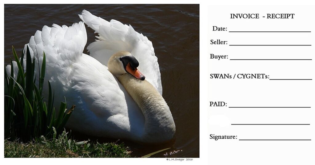 SWAN INVOICE-PAID RECEIPTs