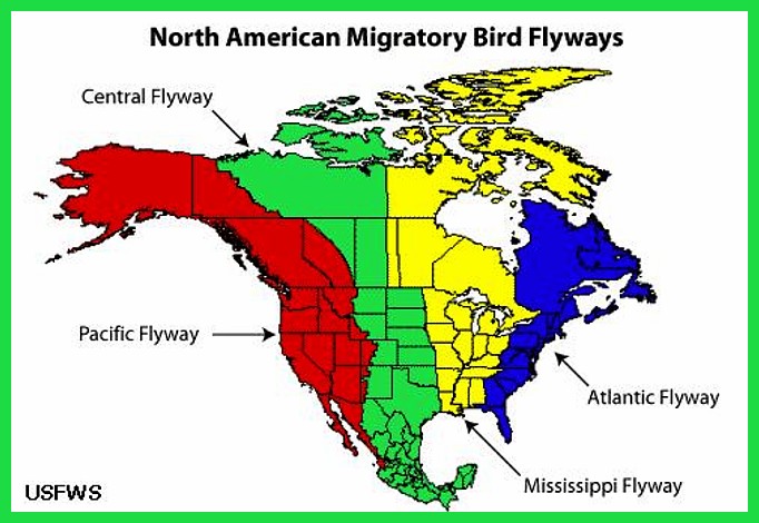 FLYWAYs 4 North American Migration Zone